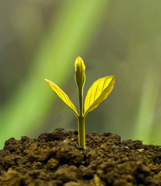 placement de trésorerie à Biarritz